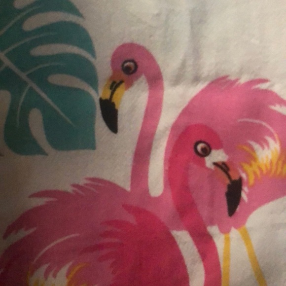 flamingofam11